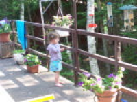 100_5529.jpg